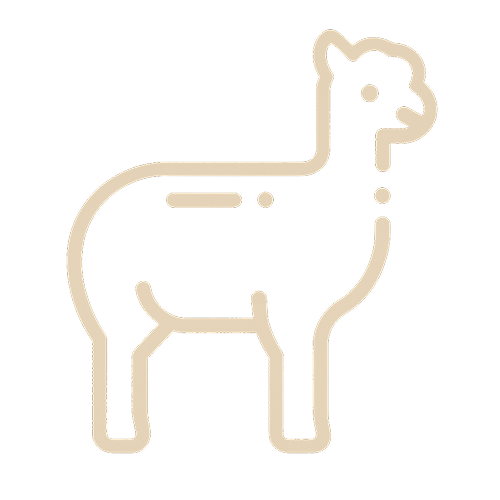 Icon Alpaka oder Lama in creme mit transparentem Hintergrund