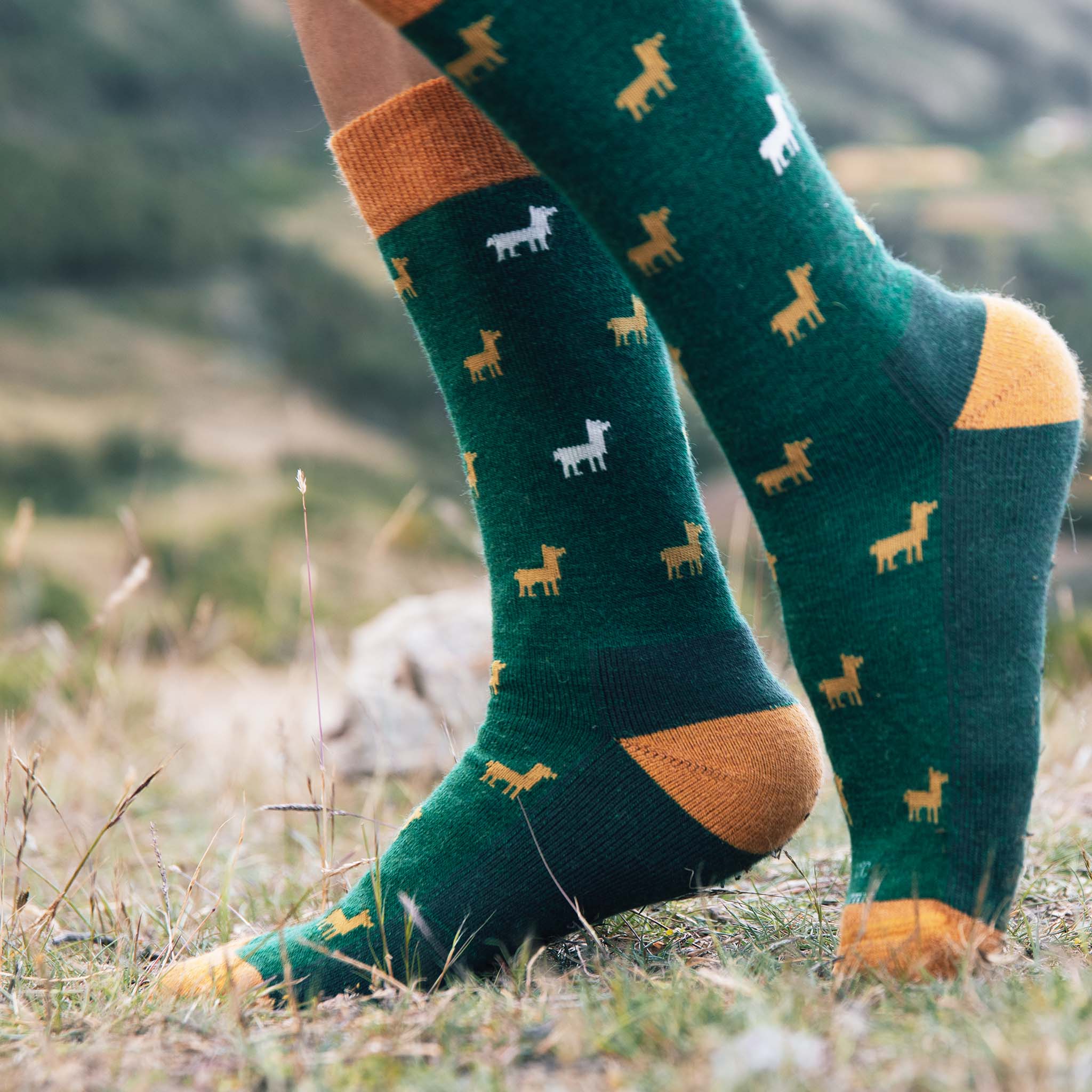 Dunkelgrüne Socken mit Alpaka Motiv draußen getragen