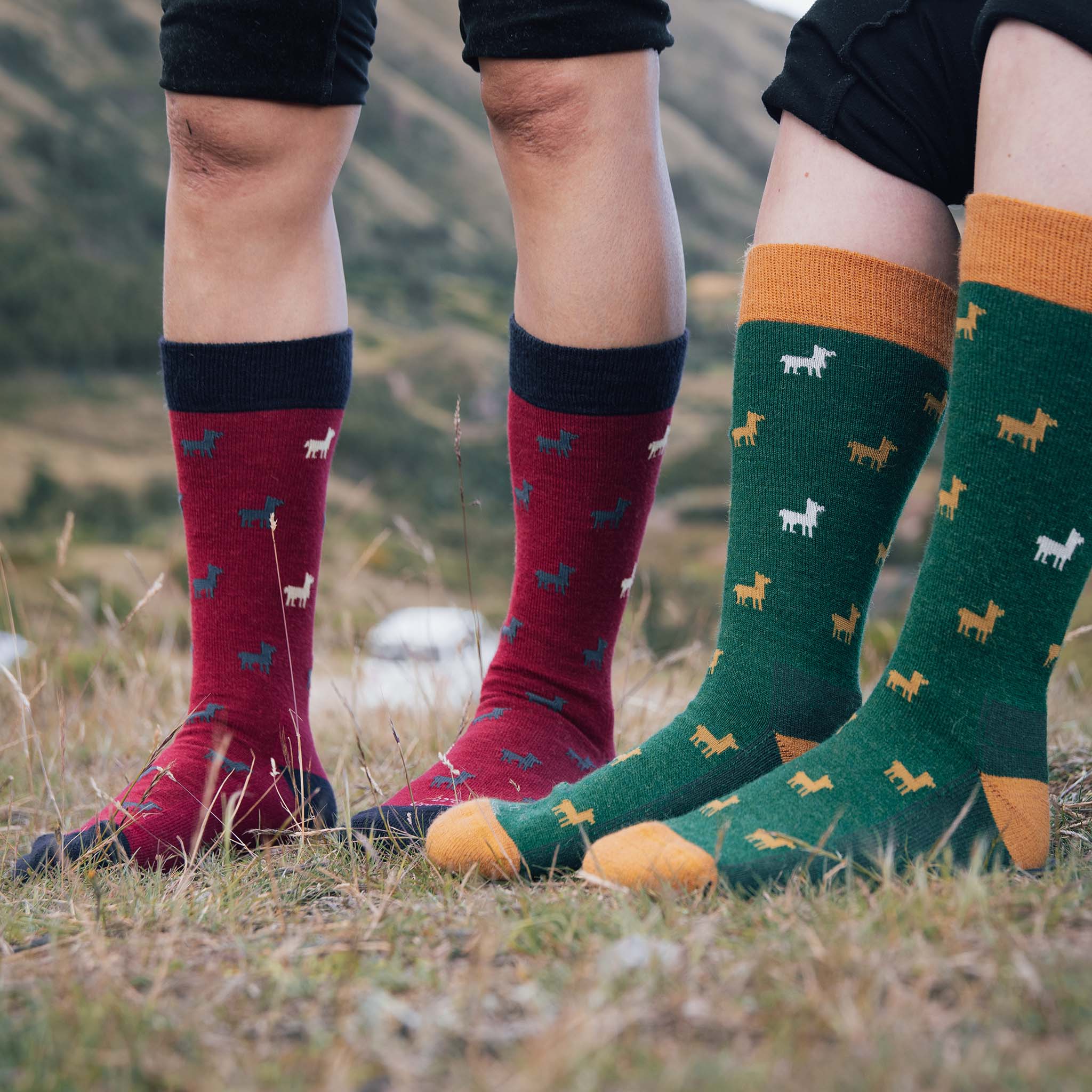 Socken mit Alpaka Motiv in dunkelgrün und dunkelrot draußen getragen